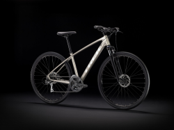 Велосипед Trek 2021 DUAL SPORT 2 L сріблястий